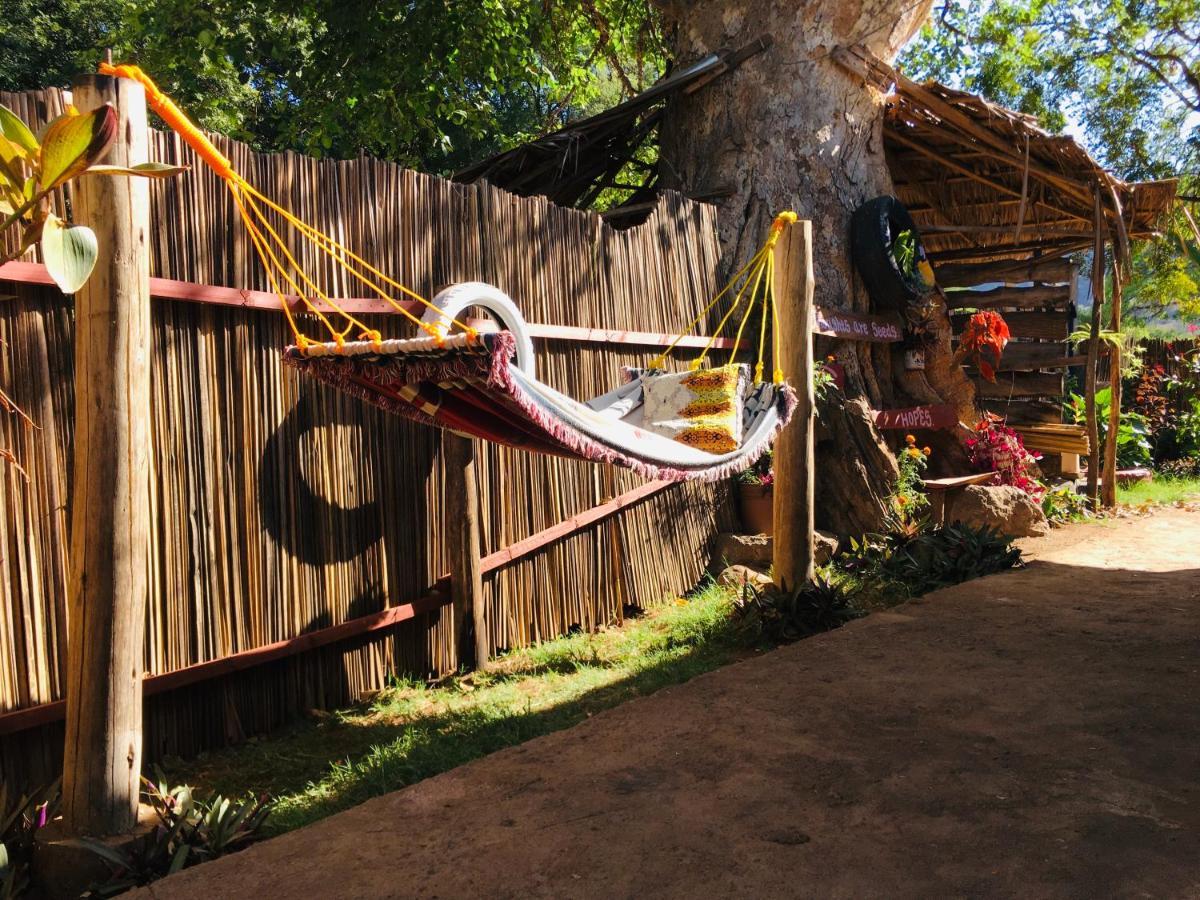 Ava Garden Backpackers Apartment Mto wa Mbu ภายนอก รูปภาพ