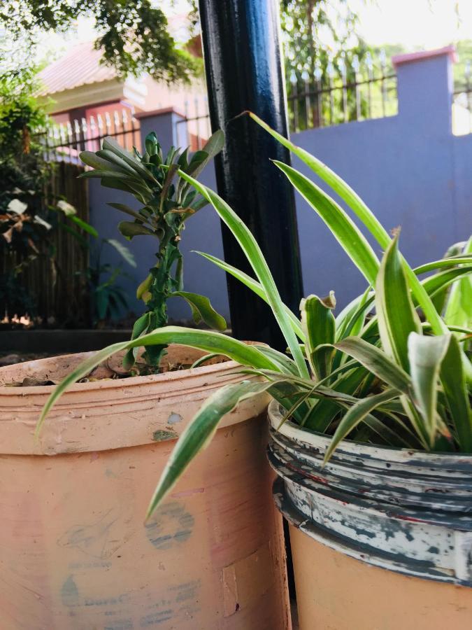 Ava Garden Backpackers Apartment Mto wa Mbu ภายนอก รูปภาพ