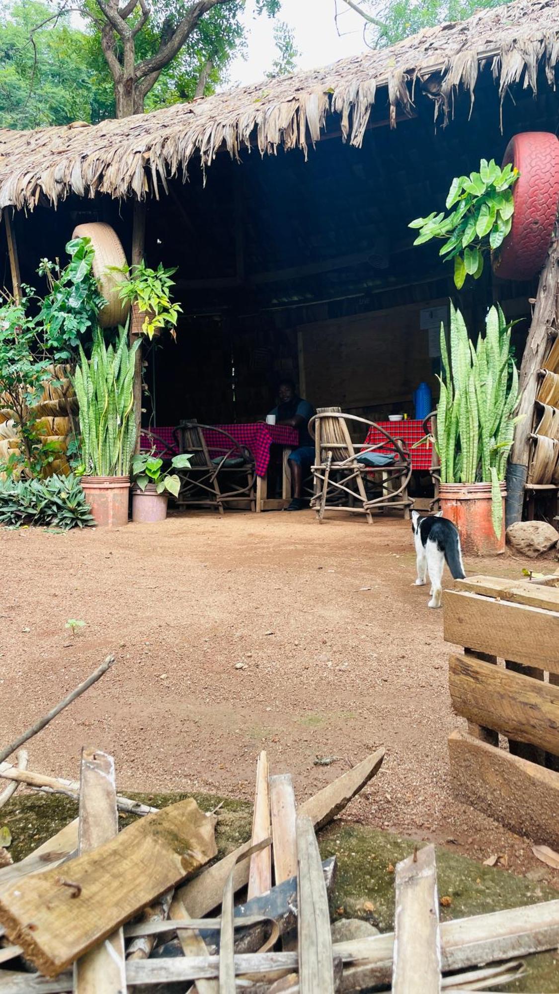 Ava Garden Backpackers Apartment Mto wa Mbu ภายนอก รูปภาพ